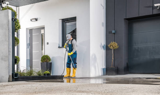Best Soft Washing for Delicate Surfaces in Cobden, IL